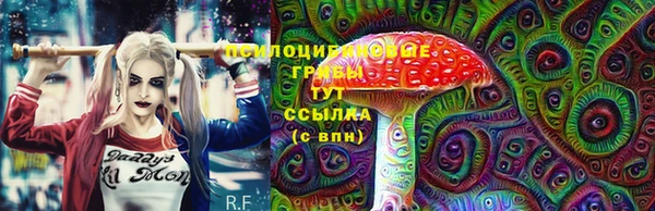 гидра Алексин