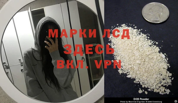 гидра Алексин