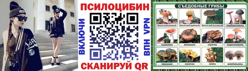 цена наркотик Могоча Псилоцибиновые грибы мухоморы